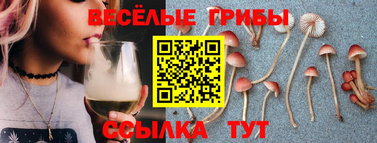 Псилоцибиновые грибы Psilocybe Сунжа
